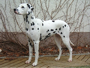 bounty2005