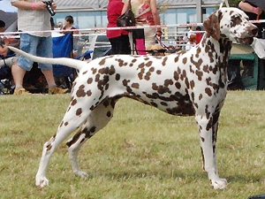 cleo2009